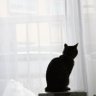 cistw profil fotoğrafı