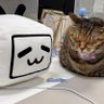 パパリモ@仕事アカウント profil fotoğrafı