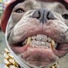 Profilbild von stewie