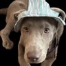 Profilbild von Tee1459