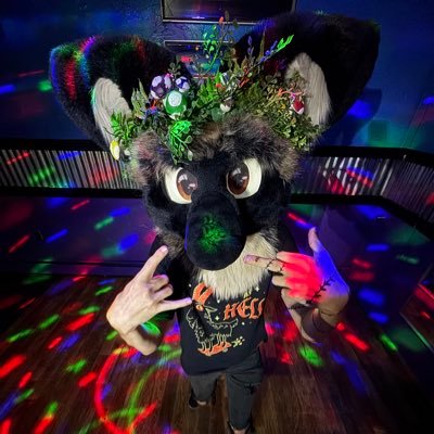Kai 🦈's profile picture