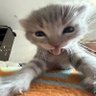 maruru profil fotoğrafı