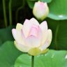 Фото профиля 五十嵐浩三