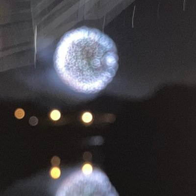 くしゃみでメガネずれる博士's profile picture