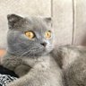 syscould profil fotoğrafı