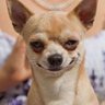 Cherry's profile picture