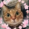 ゆうゆう 的头像
