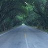 Фото профиля Julian Priego Jmz