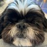 MPB profil fotoğrafı