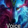 Фото профиля Voice보이스