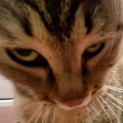 boingboingboiya's profile picture