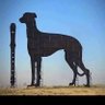 MiguelinSinfin's profile picture