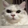 Masamoto Miyata's profile picture