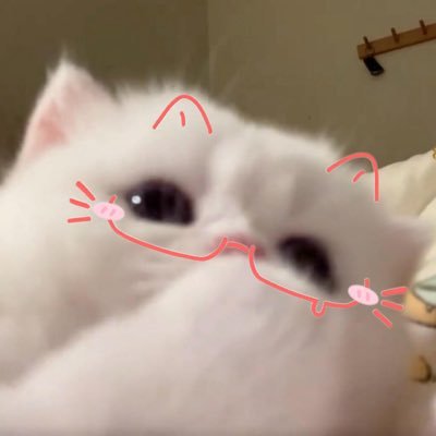酢乙女爱's profile picture