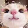 sudenur's profile picture