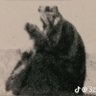 البيرق 的头像