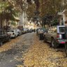 Фото профиля Amr Mohsen