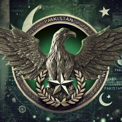 DoiOSINT⚡️'s profile picture