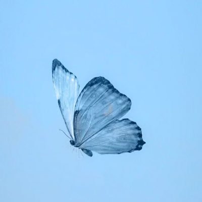 lilil__44's profile picture
