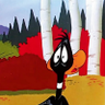 Profilbild von Lucas Duck