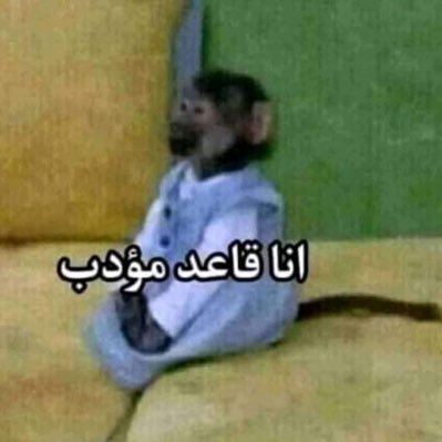 ddvvbb123456's profile picture