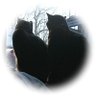 Profilbild von ミクロ