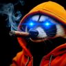 Фото профиля Hodlsy⚡️