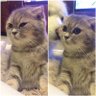 ss 32's profile picture