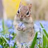🐿️yu-yu yo🐿️ profil fotoğrafı