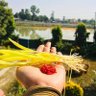 Bada Dashain profil fotoğrafı
