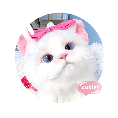 dazzlidng's profile picture