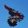Ducati Team's profile picture