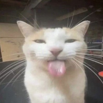 catshealdeprsn's profile picture