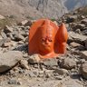 Drain profil fotoğrafı