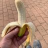 toroonada profil fotoğrafı
