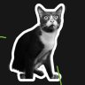 kartolo's profile picture
