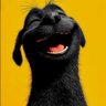 T.H.U.G 🤡's profile picture