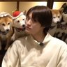 N♥K♥H【謙信❤けん民】🌸🇯🇵🟠's profile picture