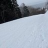 なんやかんや 的头像