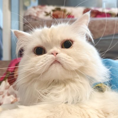 ミ★ 𝘯•𝘍𝘶𝘴𝘦•𝘥 ★彡's profile picture