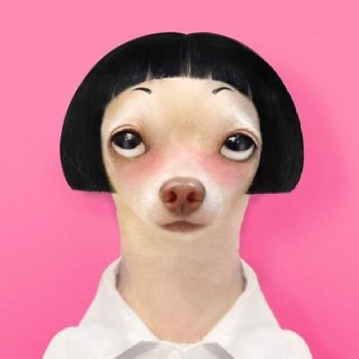 Liopiog778's profile picture