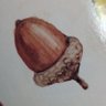 とんぼ's profile picture
