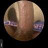 Big hood dm if intrested profil fotoğrafı