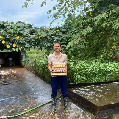 Chinh Noal Duck Farm's profile picture