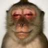 Baba Voss profil fotoฤrafฤฑ