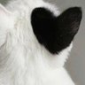 🟰زeeز profil fotoğrafı