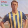 Фото профиля Taygun