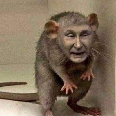 OnTheFrontUA's profile picture