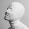 Hogi's profile picture