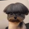 Mo's profile picture